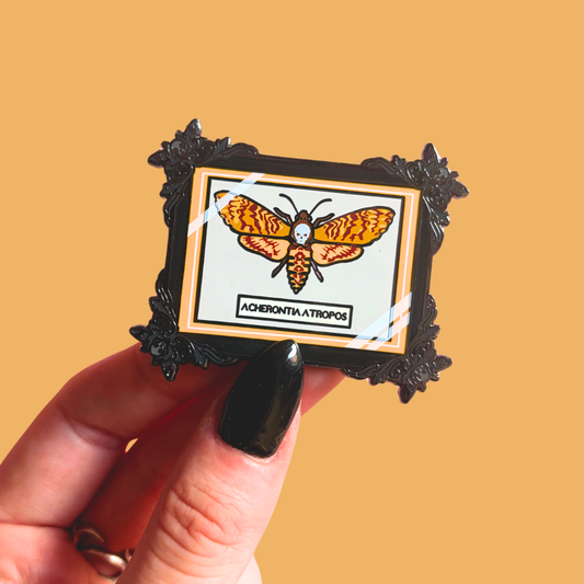 Framed Pin of a butterfly with 'Acherontia atropos' text on a yellow background
